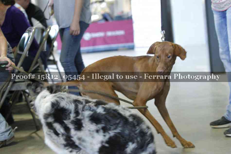 Proof 15R12_05454