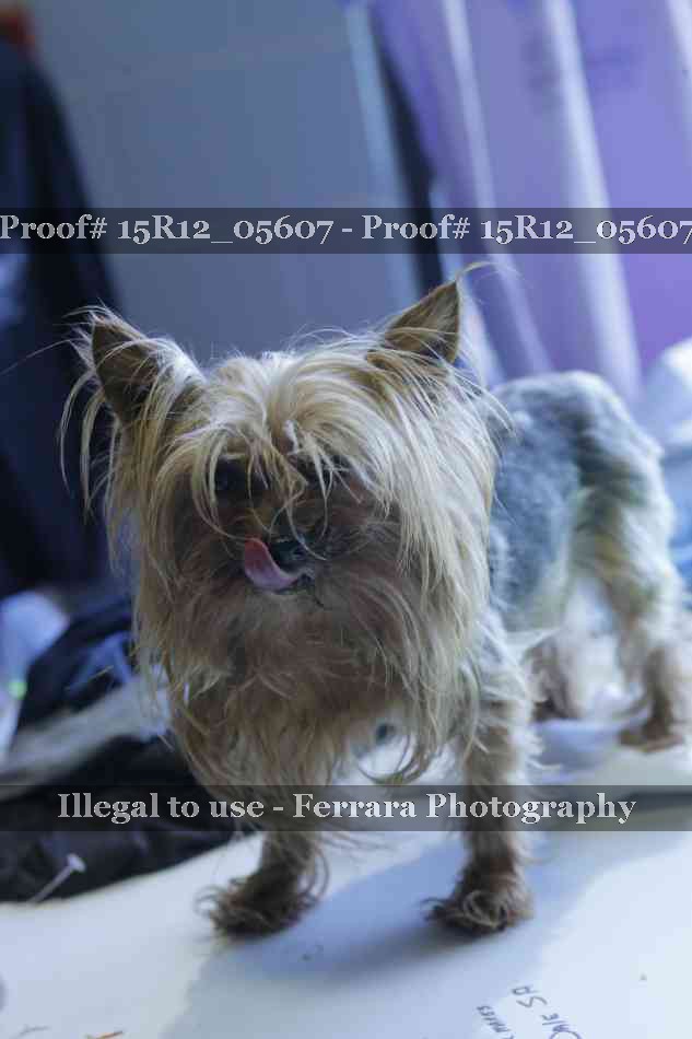 Proof 15R12_05607