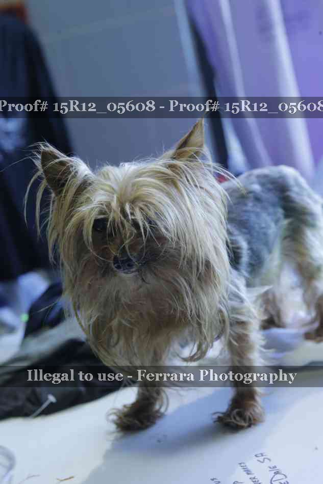 Proof 15R12_05608