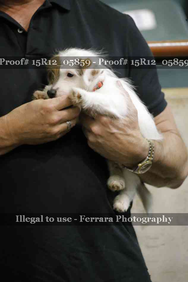 Proof 15R12_05859