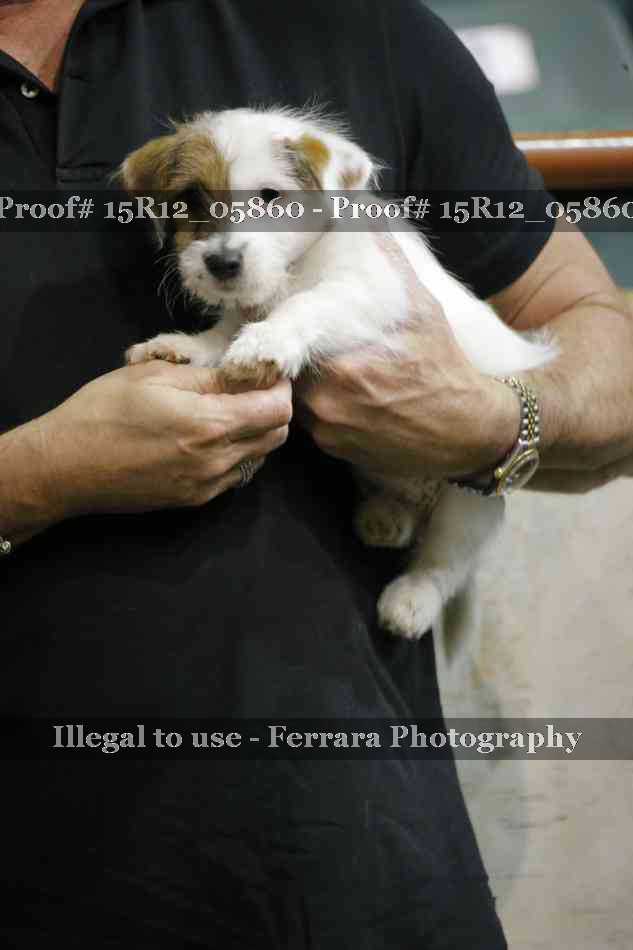 Proof 15R12_05860