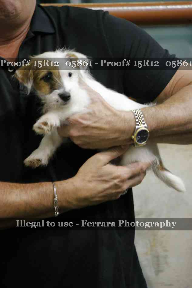 Proof 15R12_05861