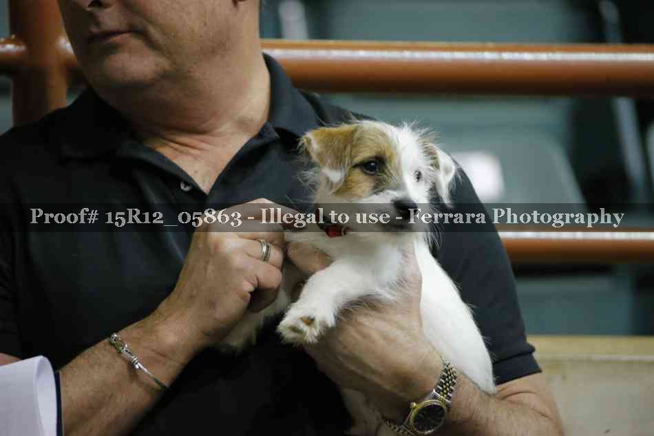 Proof 15R12_05863
