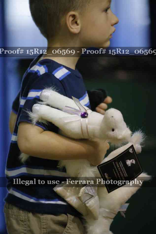 Proof 15R12_06569