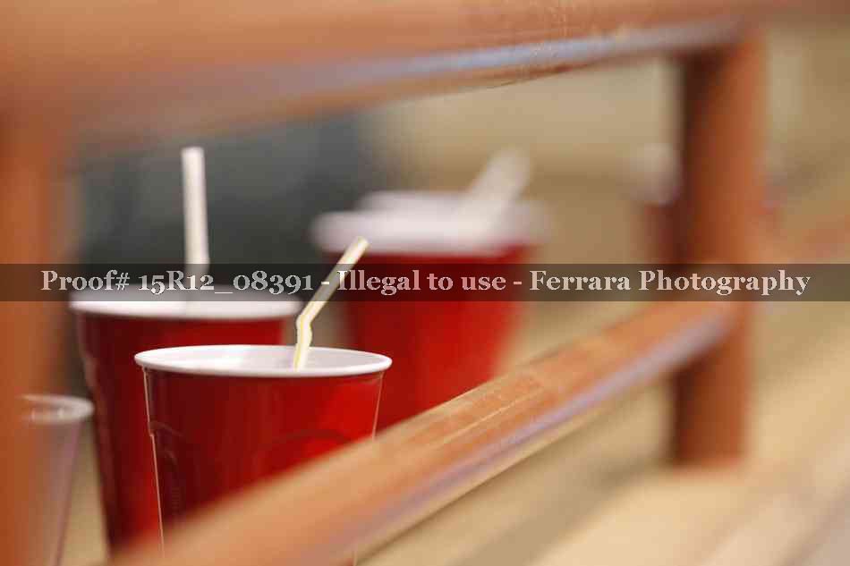 Proof 15R12_08391