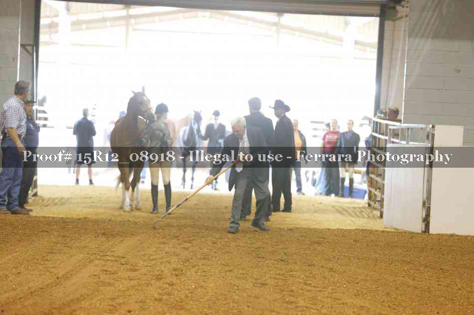 Proof 15R12_08918