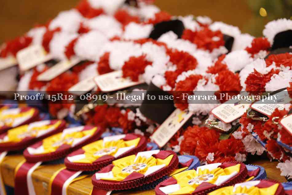 Proof 15R12_08919