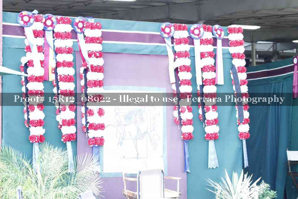 Proof 15R12_08922