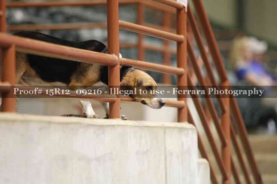 Proof 15R12_09216