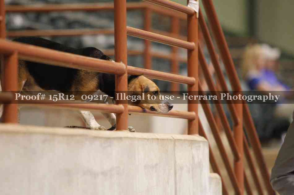 Proof 15R12_09217