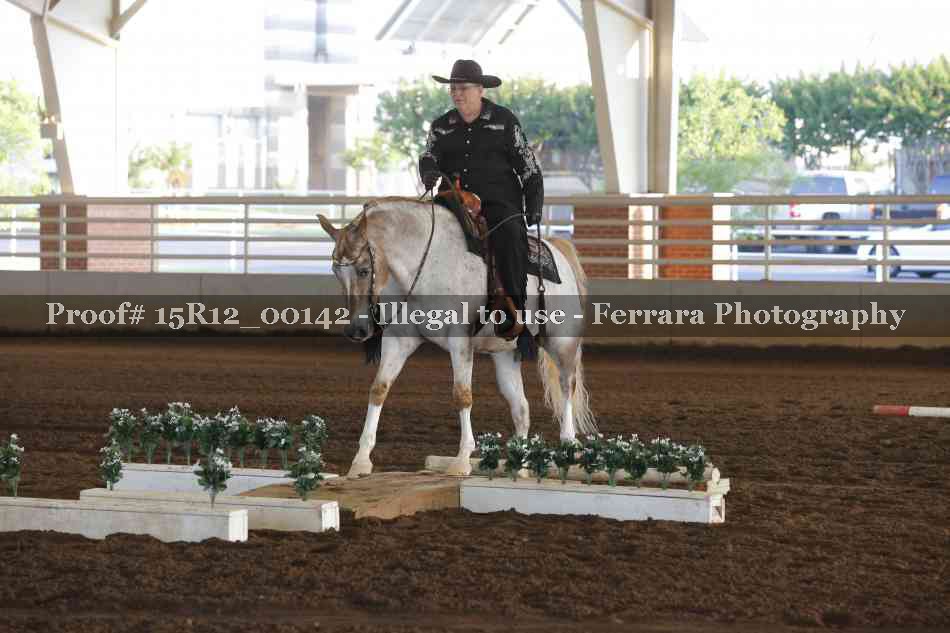 Proof 15R12_00142