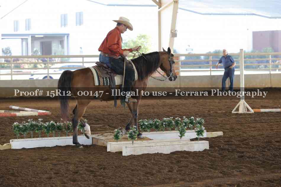 Proof 15R12_00147