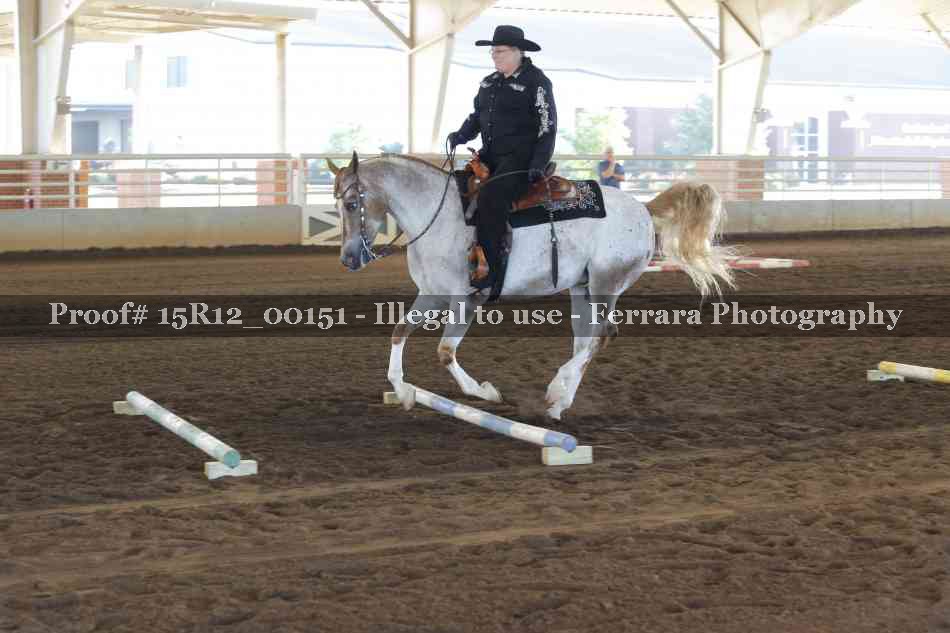 Proof 15R12_00151