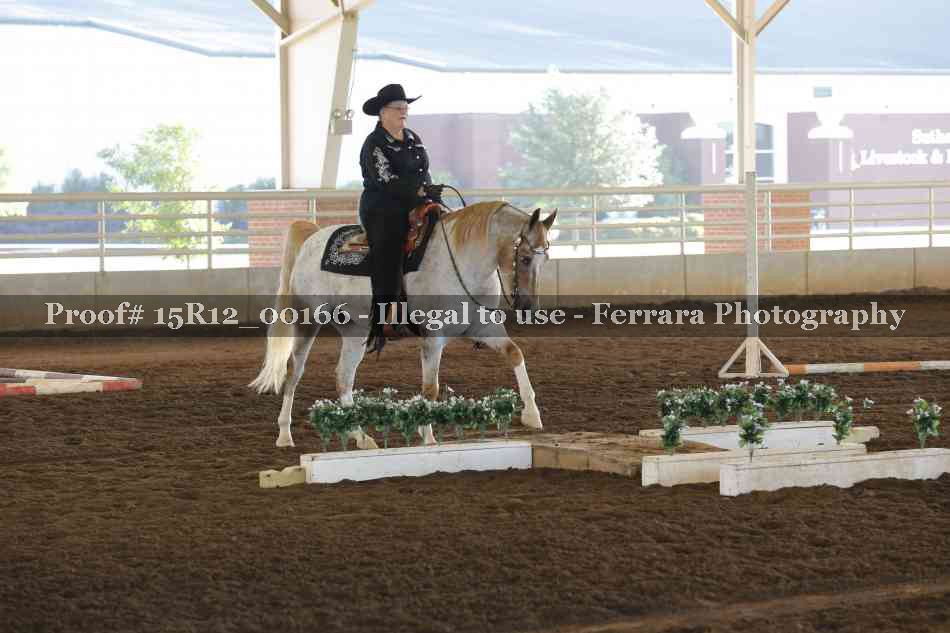 Proof 15R12_00166