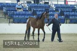 15R14_00201 proof