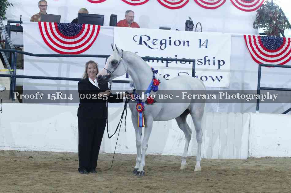 Proof 15R14_00225
