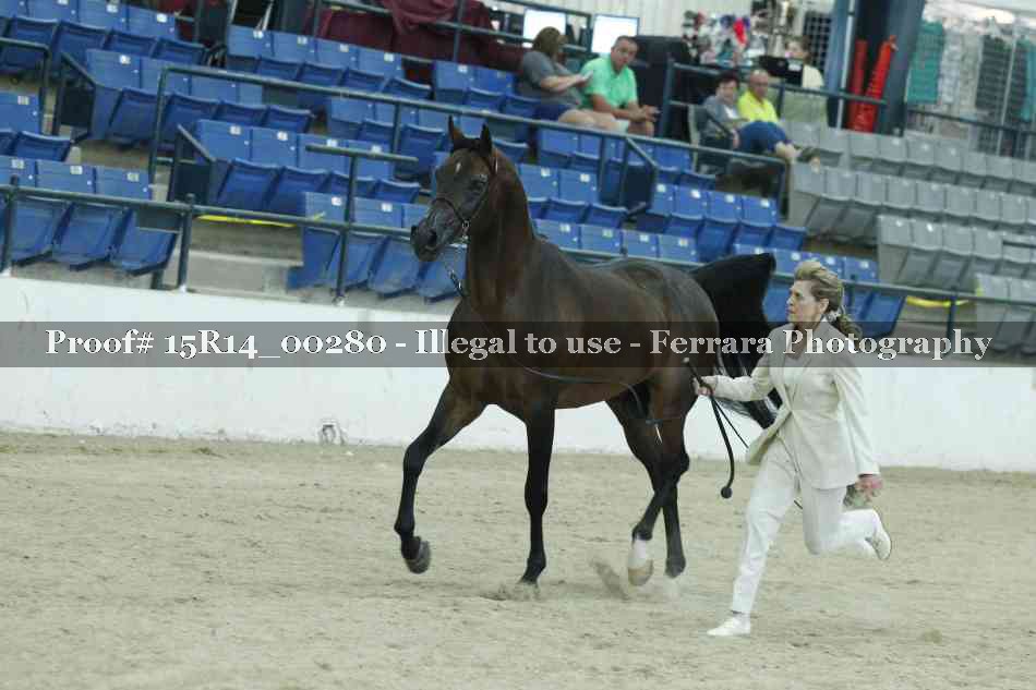 Proof 15R14_00280