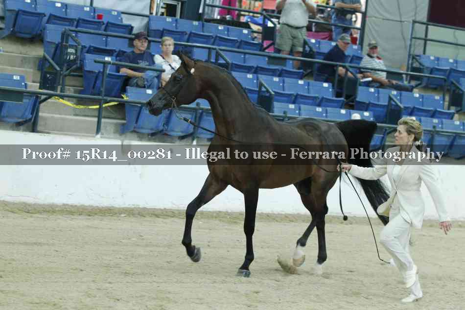Proof 15R14_00281
