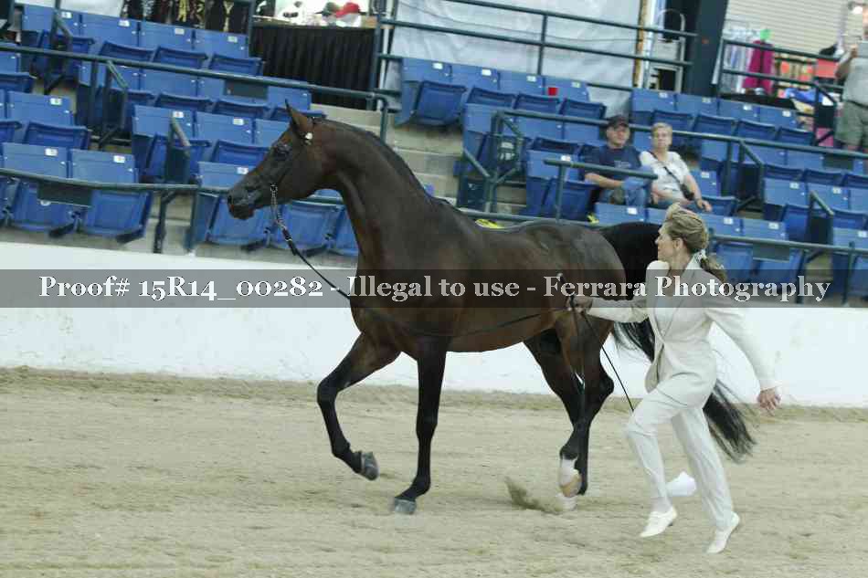 Proof 15R14_00282