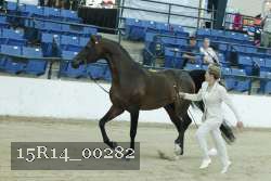 15R14_00282 proof