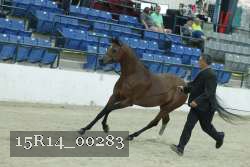 15R14_00283 proof