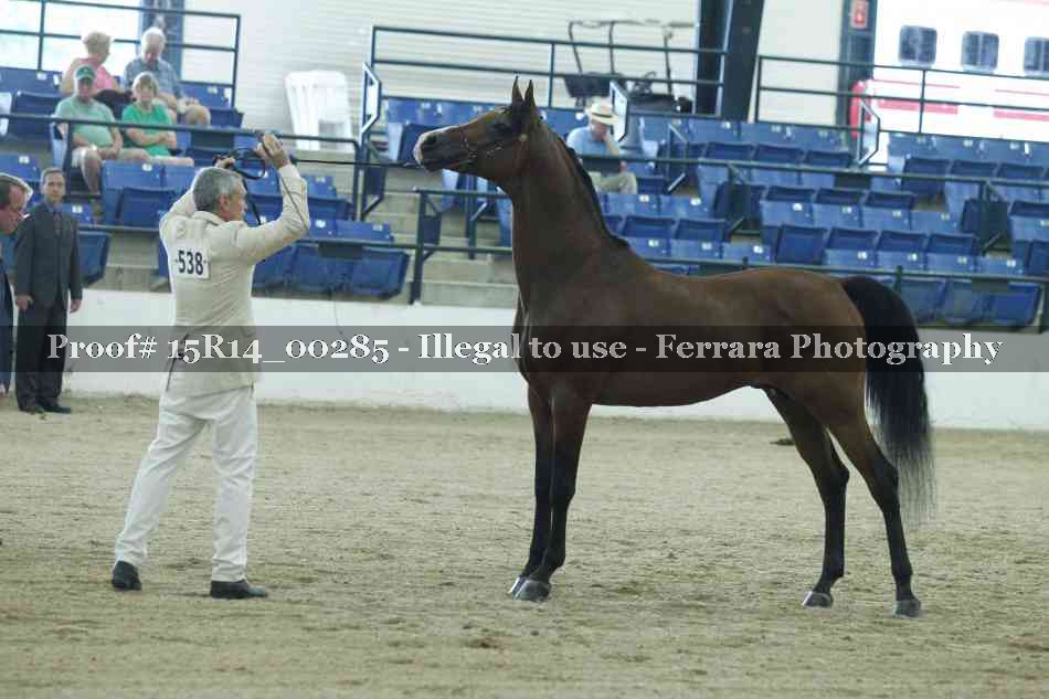 Proof 15R14_00285