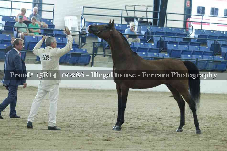 Proof 15R14_00286