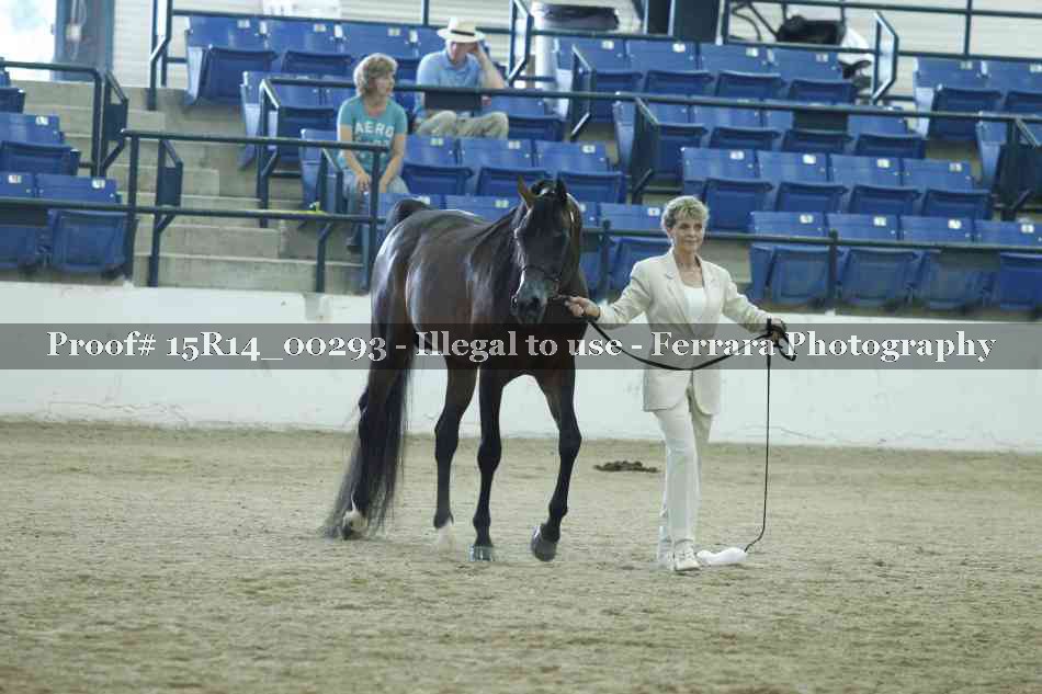 Proof 15R14_00293