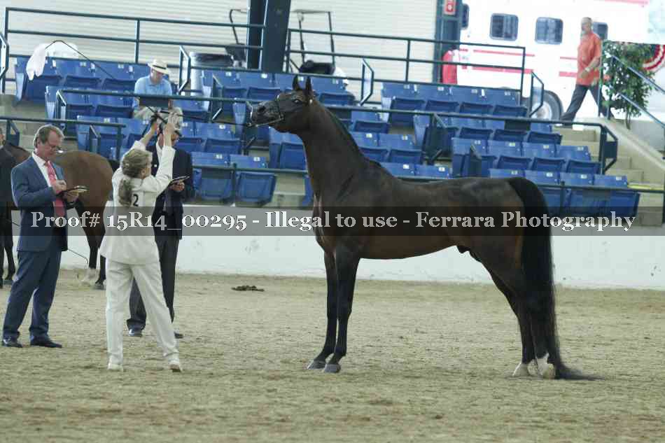 Proof 15R14_00295