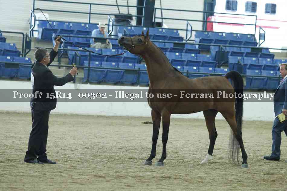 Proof 15R14_00302