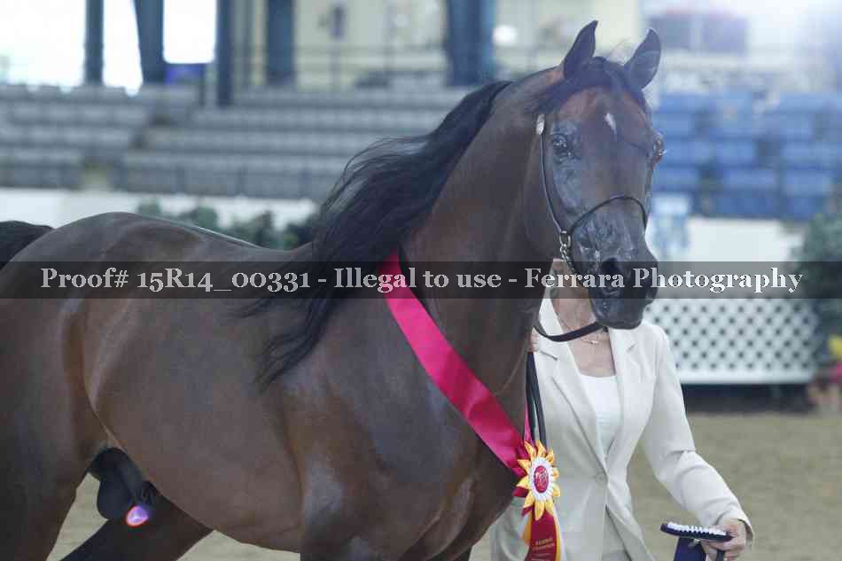 Proof 15R14_00331