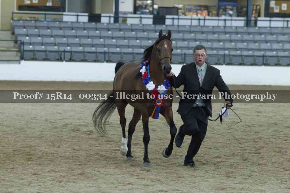 Proof 15R14_00334