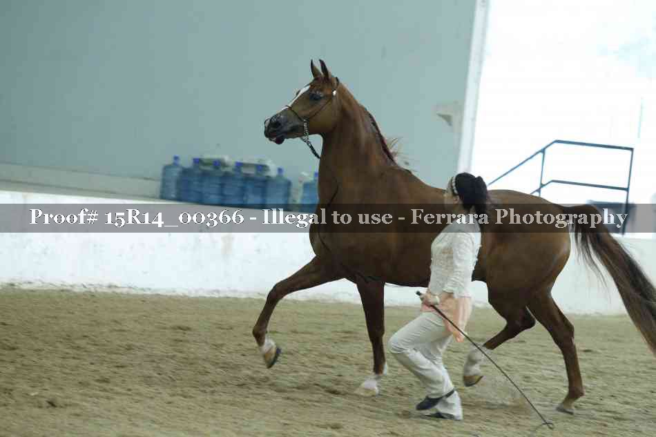 Proof 15R14_00366