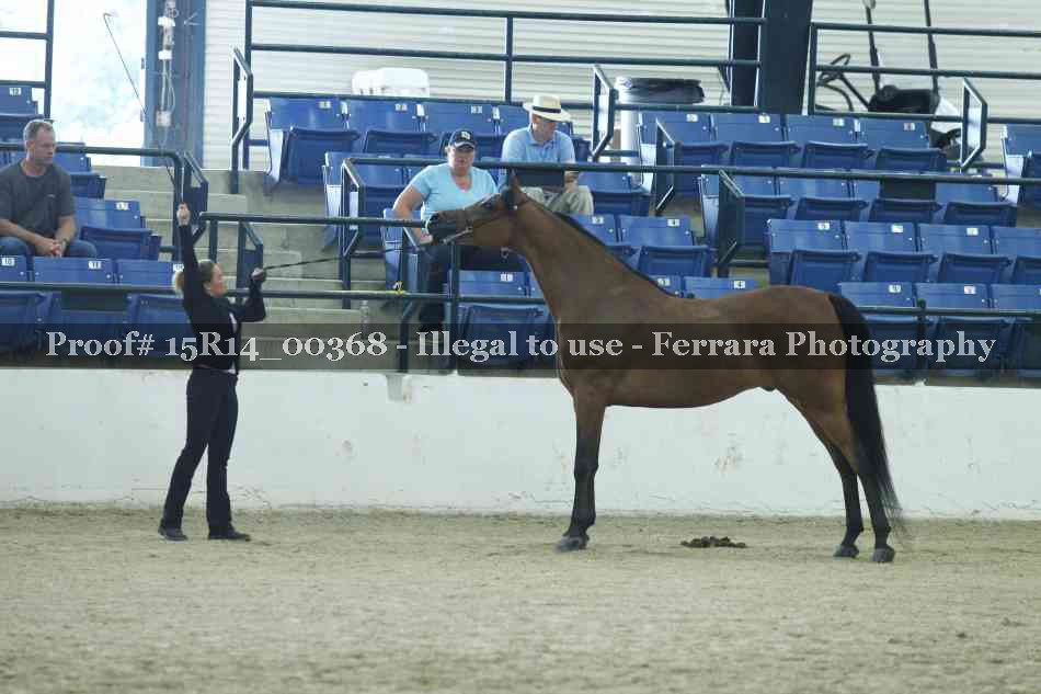 Proof 15R14_00368