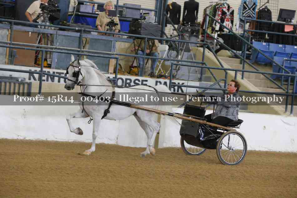 Proof 15R14_00403