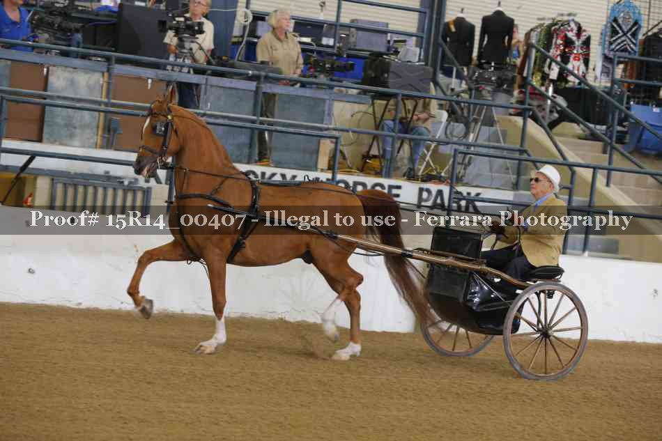 Proof 15R14_00407