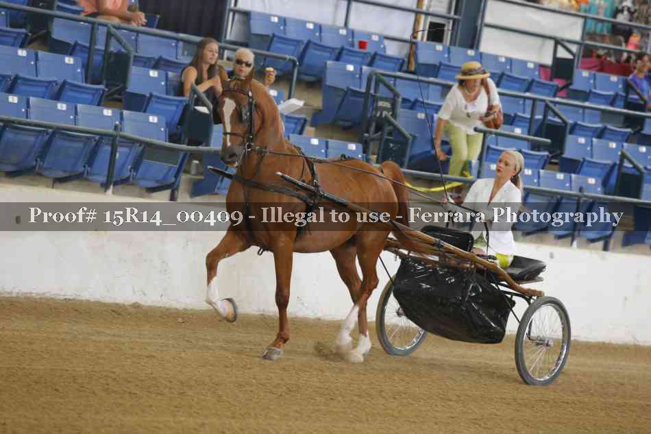 Proof 15R14_00409