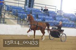 15R14_00433 proof