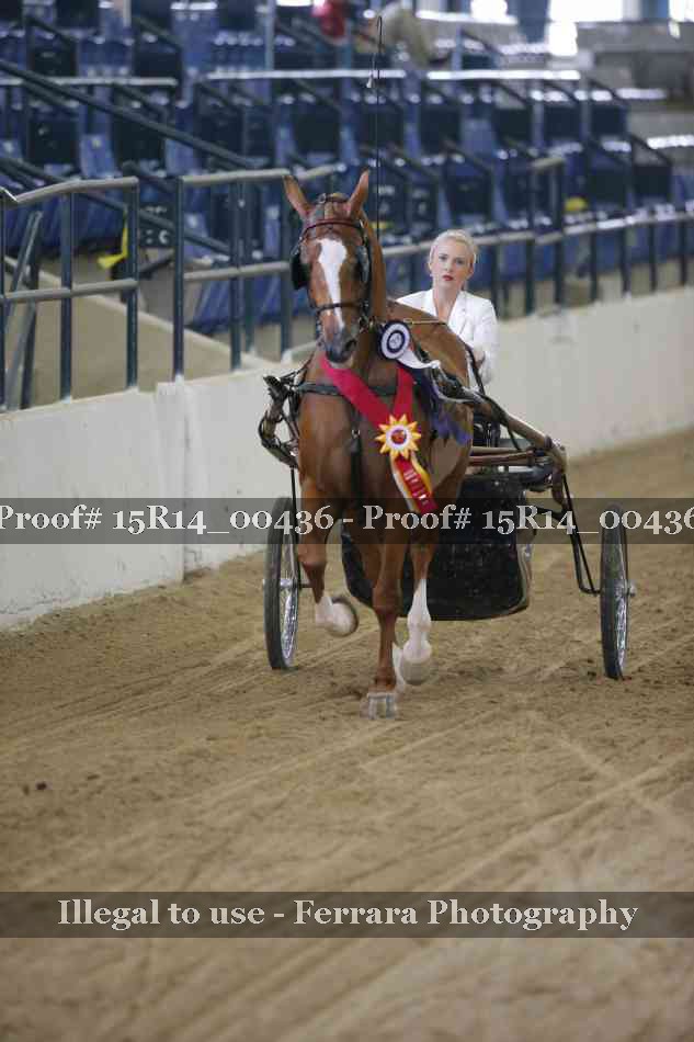 Proof 15R14_00436