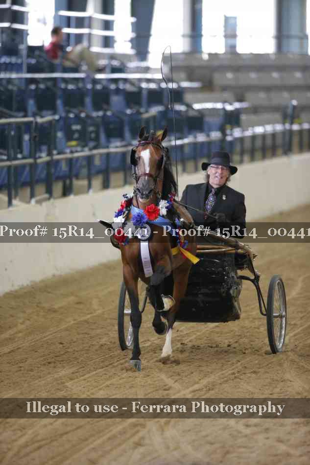 Proof 15R14_00441