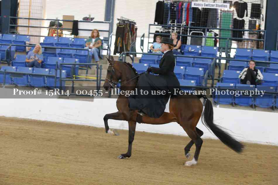 Proof 15R14_00455