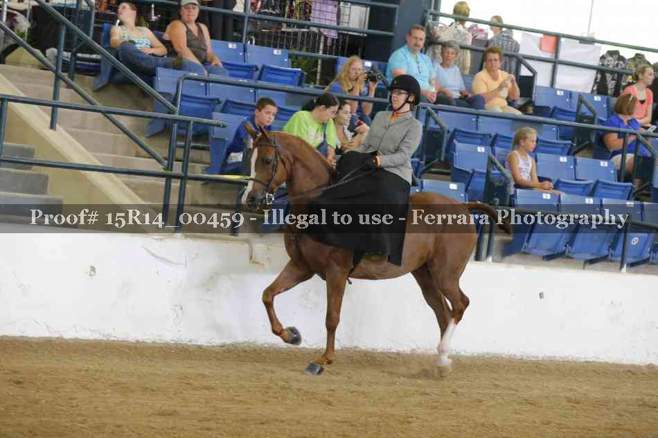 Proof 15R14_00459