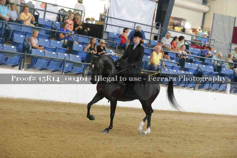 Proof 15R14_00461