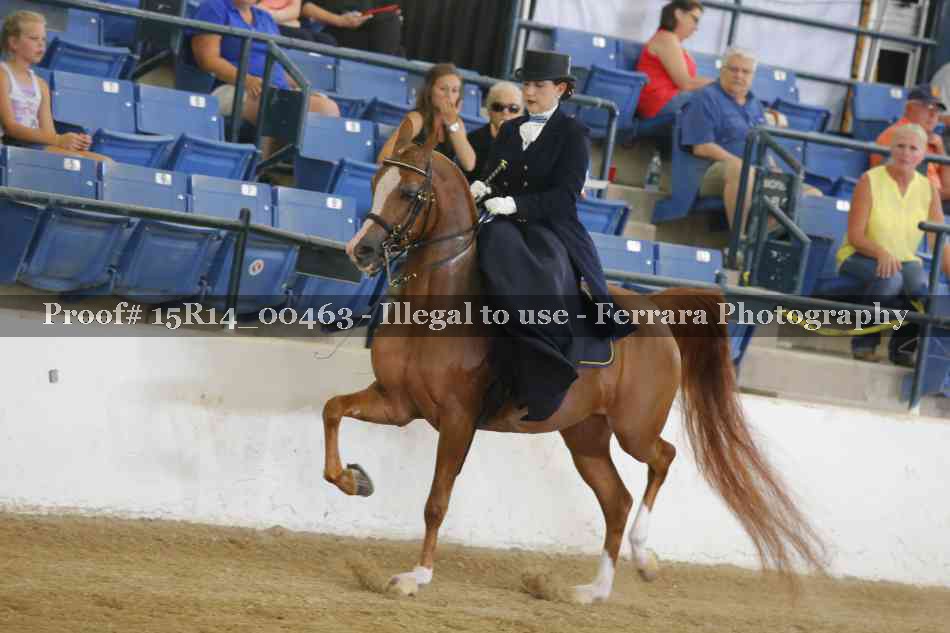 Proof 15R14_00463