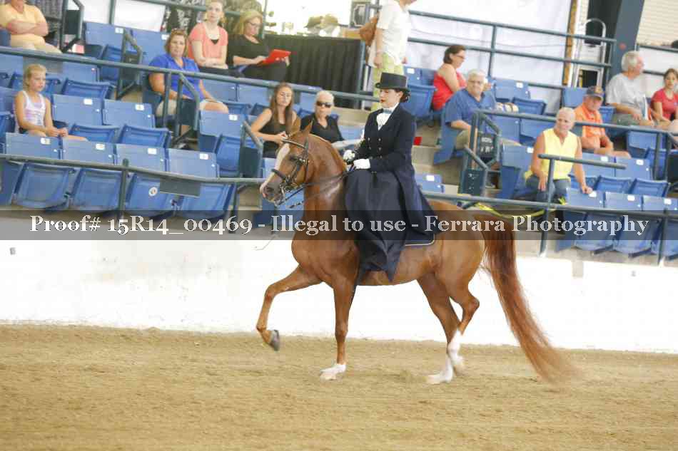 Proof 15R14_00469