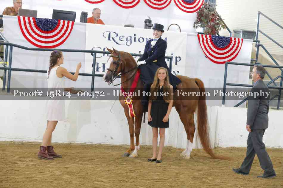 Proof 15R14_00472
