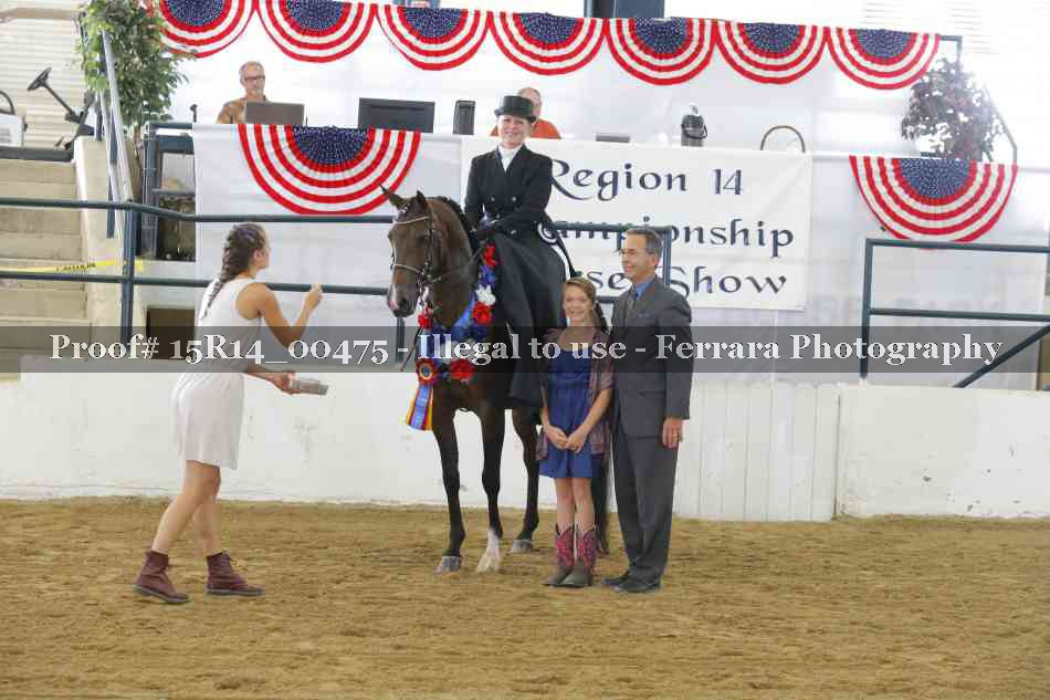 Proof 15R14_00475