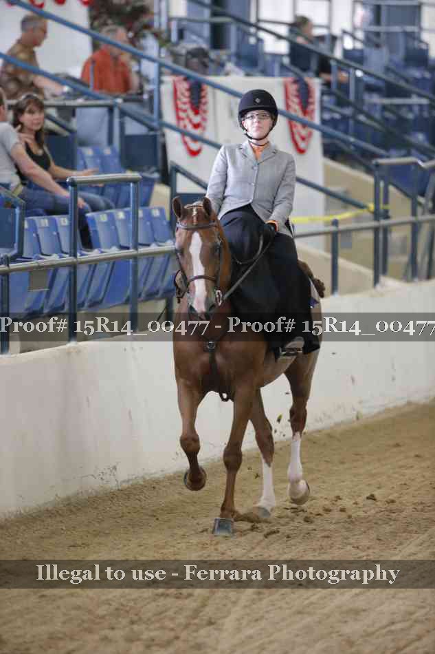 Proof 15R14_00477