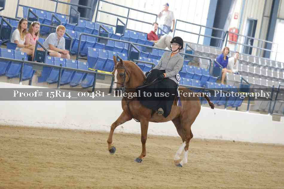 Proof 15R14_00481