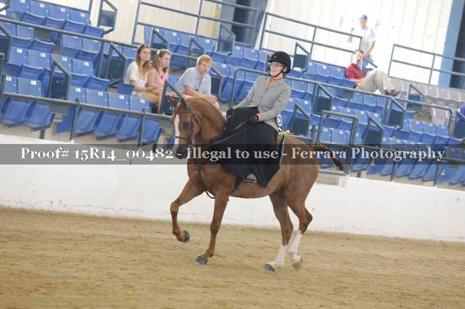 Proof 15R14_00482